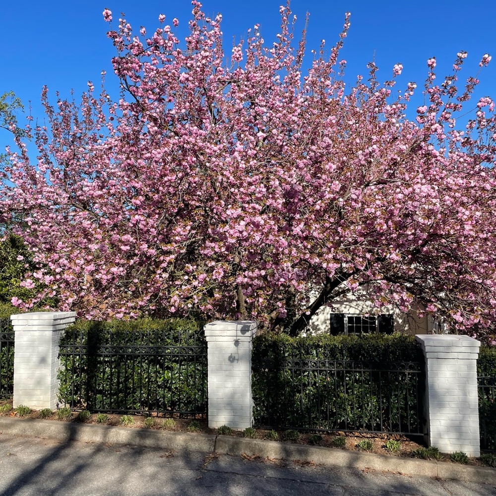 Meet your Posher, Susanne